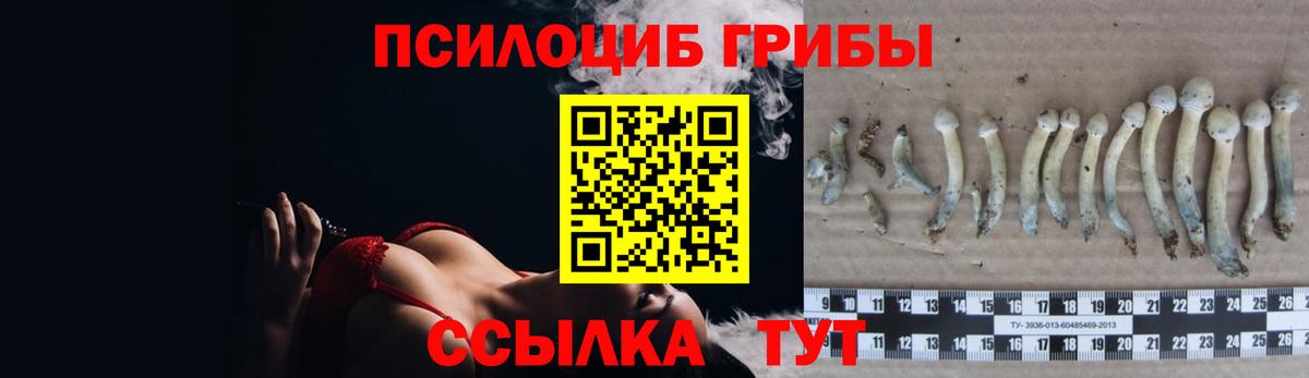 Псилоцибиновые грибы MAGIC MUSHROOMS Подольск